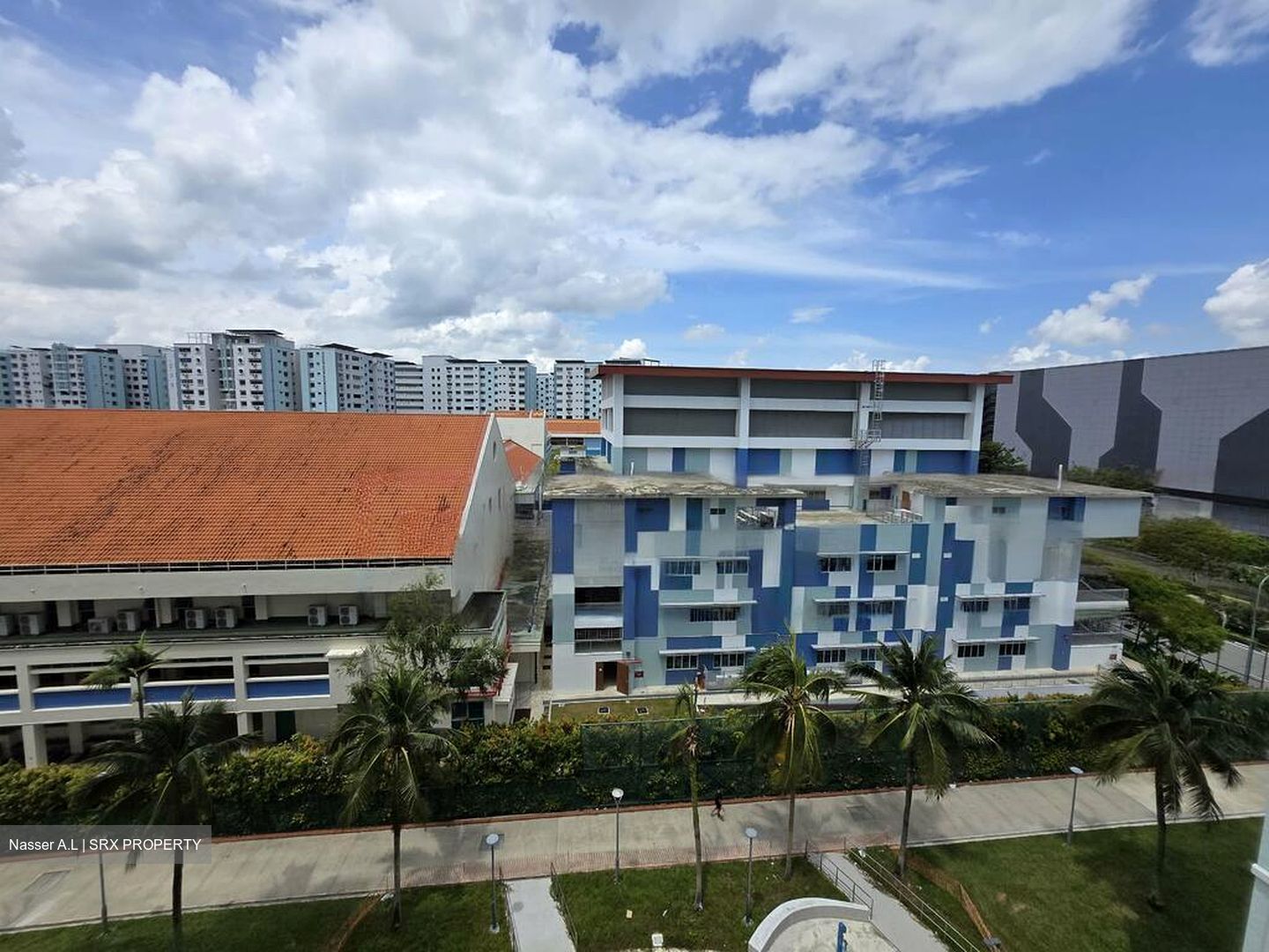 Blk 243 Pasir Ris Street 21 (Pasir Ris), HDB Executive #447265641